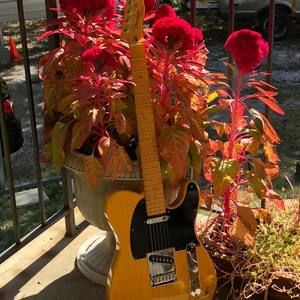 Meet your Posher, Robby